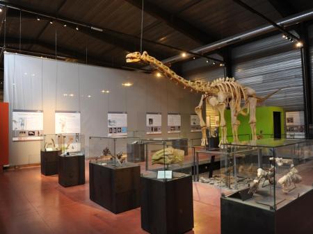 Visite du musée des dinosaures à Espéraza