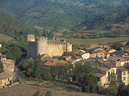 Séjour groupe Carcassonne et le pays cathare