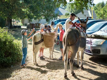 Balad'âne : Séjour estival nature et balade pour enfants de 8 à 11 ans