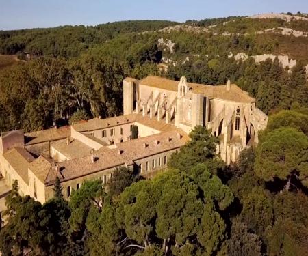 Visite de l'abbaye Sainte-Marie de Valmagne