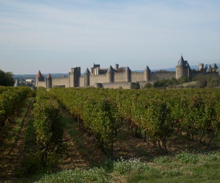 Visite guidée costumée 1h30 de la Cité de Carcassonne